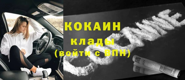 прущие грибы Баксан