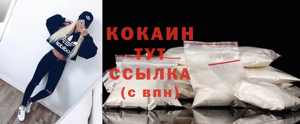 прущие грибы Баксан