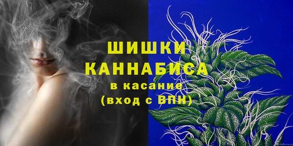 прущие грибы Баксан