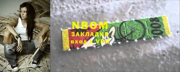 прущие грибы Баксан